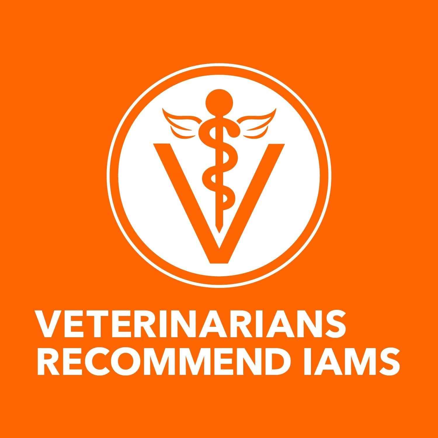 IAMS Grain Free Chicken Wet Cat Food Pate - Perfect Portions