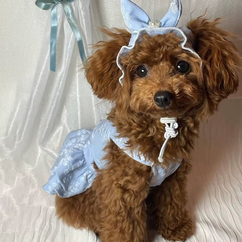 Pet Spring Jumpsuit & Dress: Stylish Cat & Small Dog Outfits - HuckMB Pet Supply