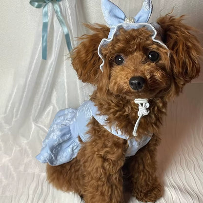 Pet Spring Jumpsuit & Dress: Stylish Cat & Small Dog Outfits - HuckMB Pet Supply