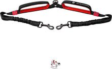 Tangle-Free Dual Dog Leash Coupler for Safe and Smooth Walks