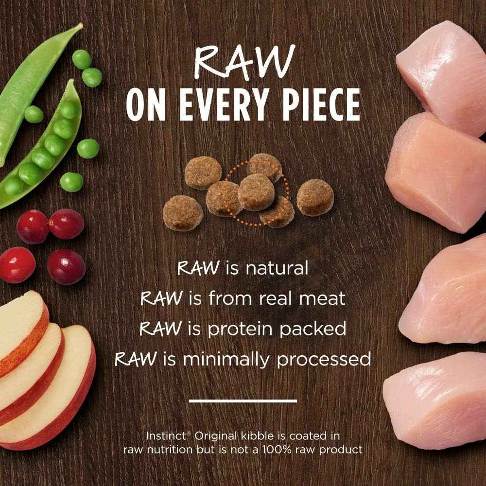 Grain-Free High-Protein Kitten Food - Raw Coated Kibble