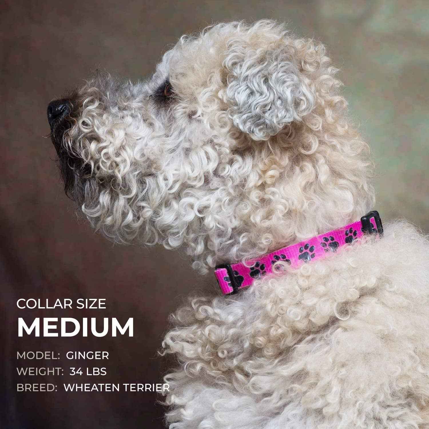 Classic American Flag Dog Collar - Adjustable & Durable