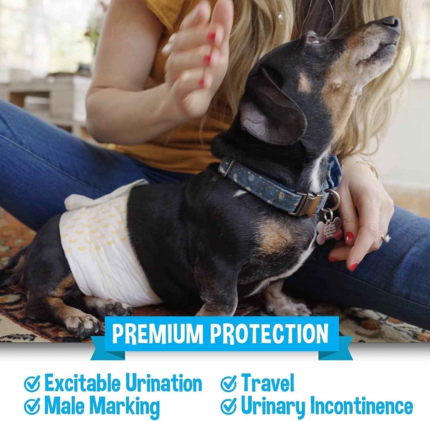 Leak-Proof Small Male Dog Diapers with Absorbent Comfort