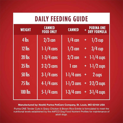 Purina ONE High Protein Chicken and Rice Dog Food in Gravy