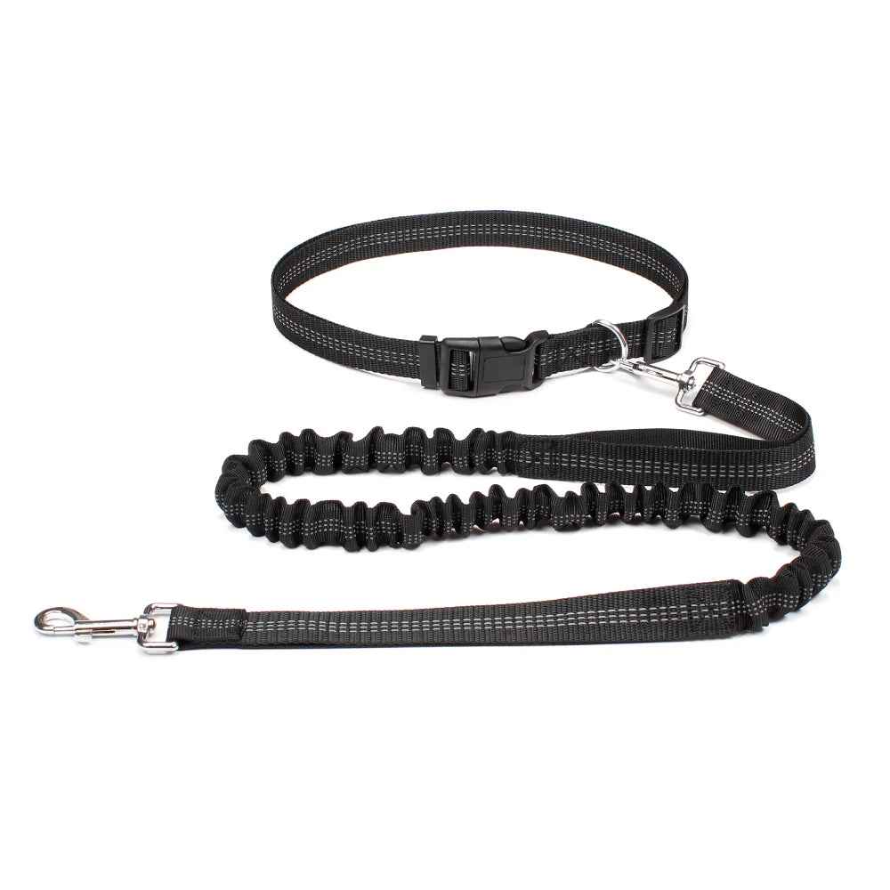 Hands Free Dog Leash Adjustable