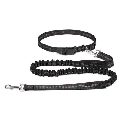 Hands Free Dog Leash Adjustable