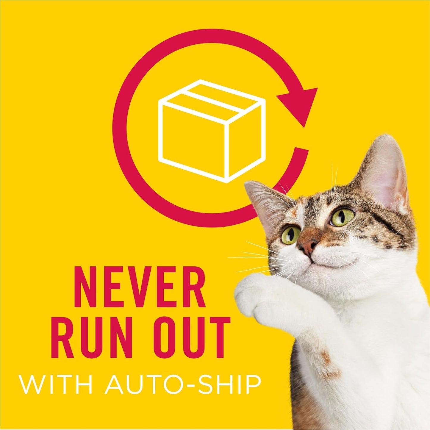 Friskies Roasted Chicken Cat Treats Pack - Gravy Pouches - HuckMB Pet Supply