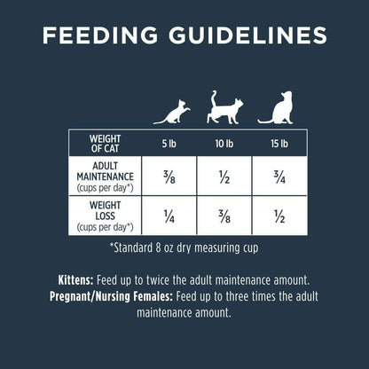 Raw Boost Grain-Free Chicken Dry Cat Food Nutritious