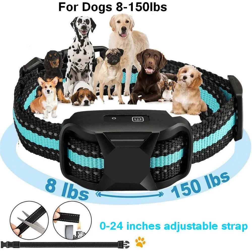 No Shock Dog Training Collar Safe