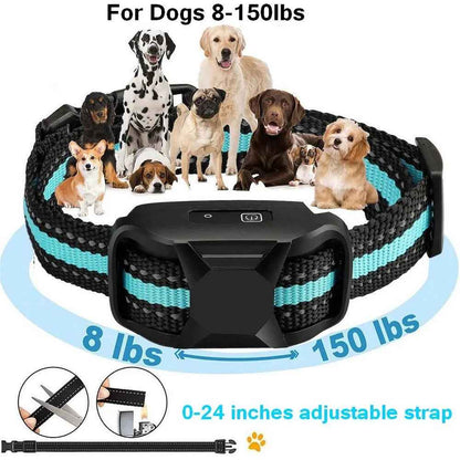 No Shock Dog Training Collar Safe