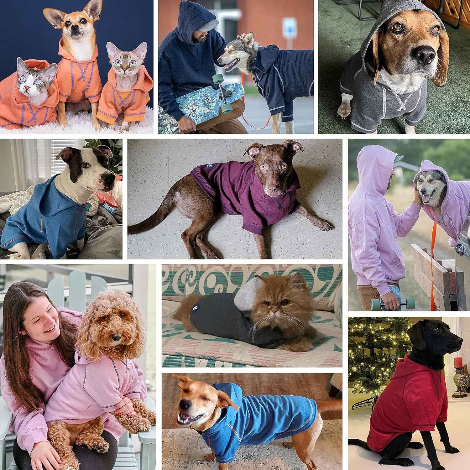 Blueberry Pet Essentials Dog Hoodie – 12 Inch, Cotton‑Blend Sweatshirt with Hood, Charcoal Grey, Machine‑Washable Small‑Dog Jersey