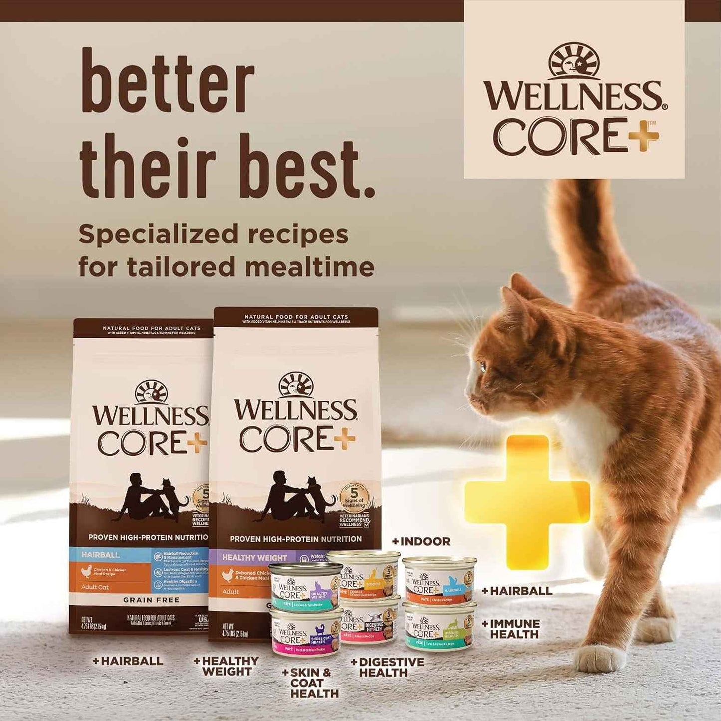 Grain-Free Indoor Cat Food - Wellness CORE+ Dry