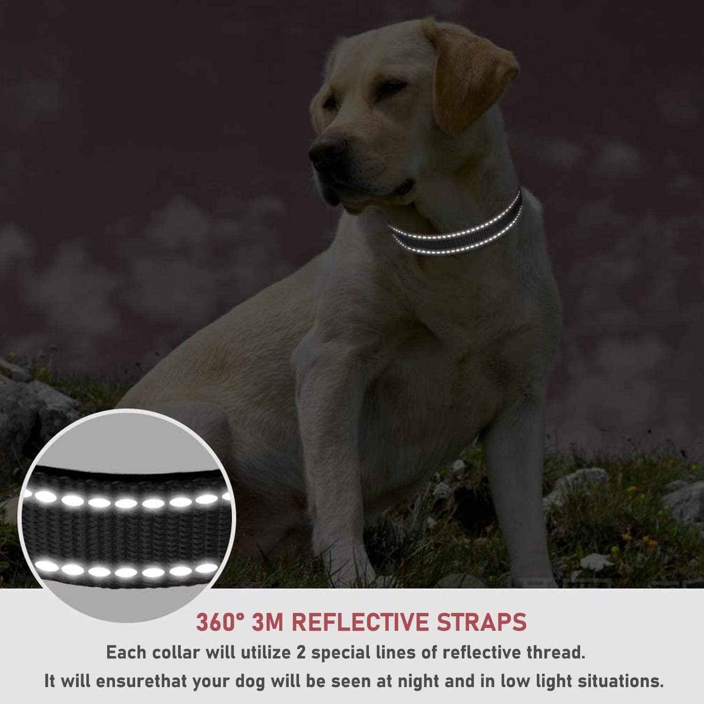 Adjustable Reflective Dog Collar with Buckle Safety