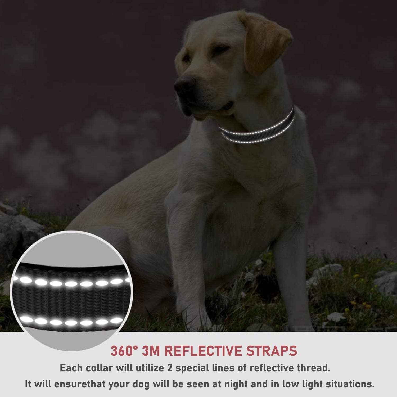 Adjustable Reflective Dog Collar with Buckle Safety