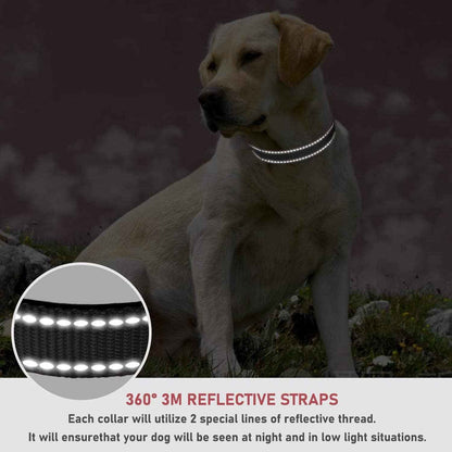Adjustable Reflective Dog Collar with Buckle Safety