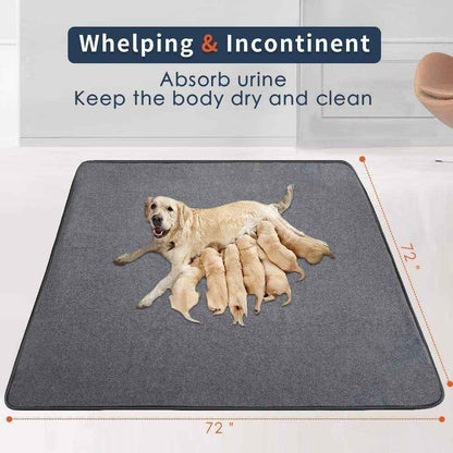 Extra Large Washable Dog Pee Pads: Waterproof & Reusable