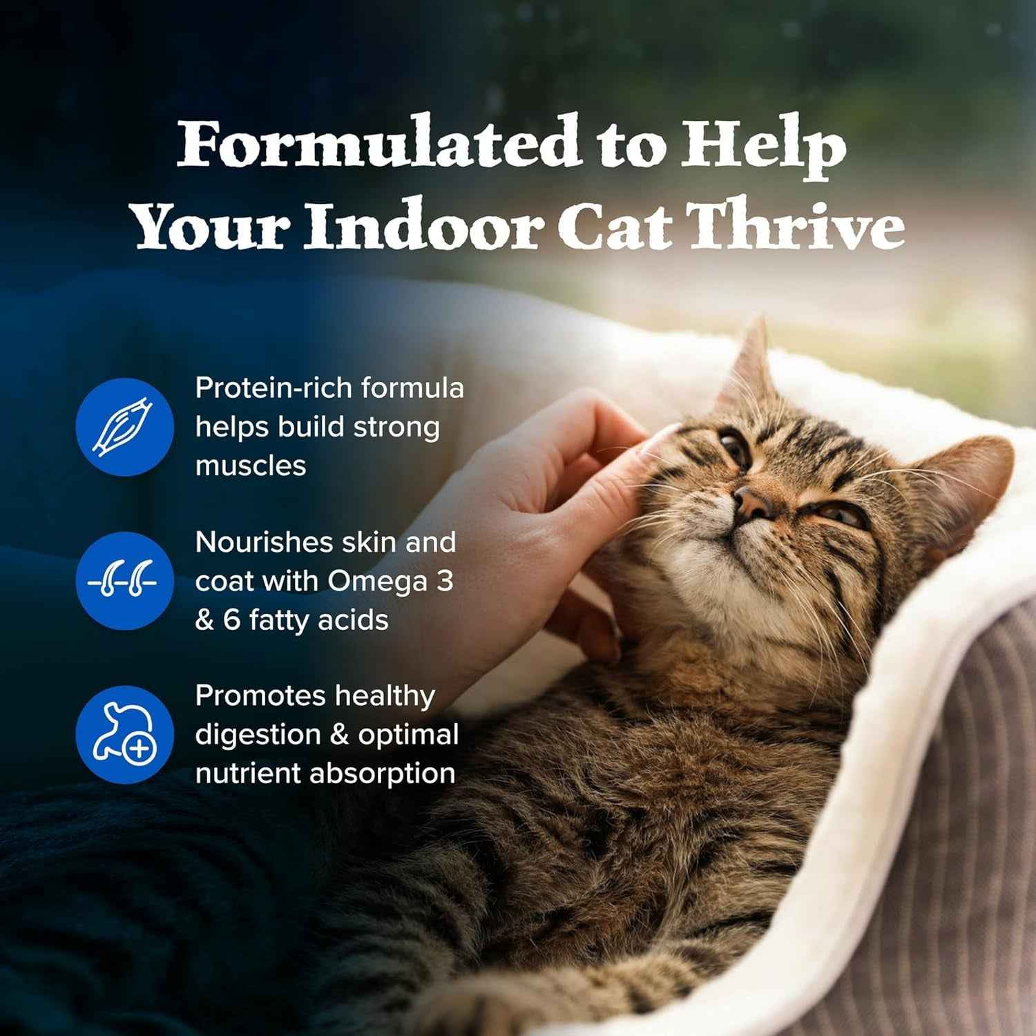 Blue Buffalo Wilderness High-Protein Grain-Free Cat Food