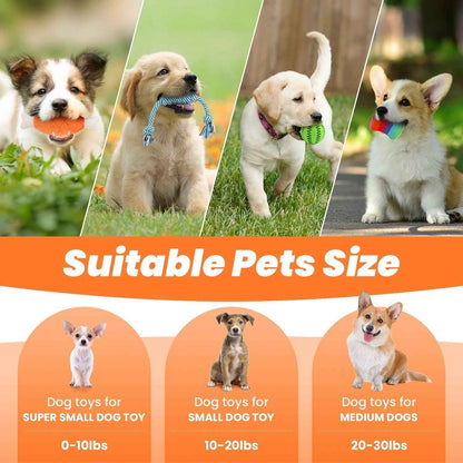 Puppy Teething Chew Toys Set: 10-Pack Squeaky & Rope Toys