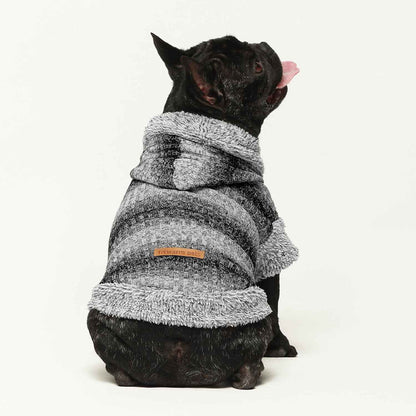 Fitwarm Fuzzy Dog Sweater, Knitted Winter Dog Clothes for Small Dogs Boy Girl, Pet Cat Hooded Outfit, Heather Grey, Black, Medium