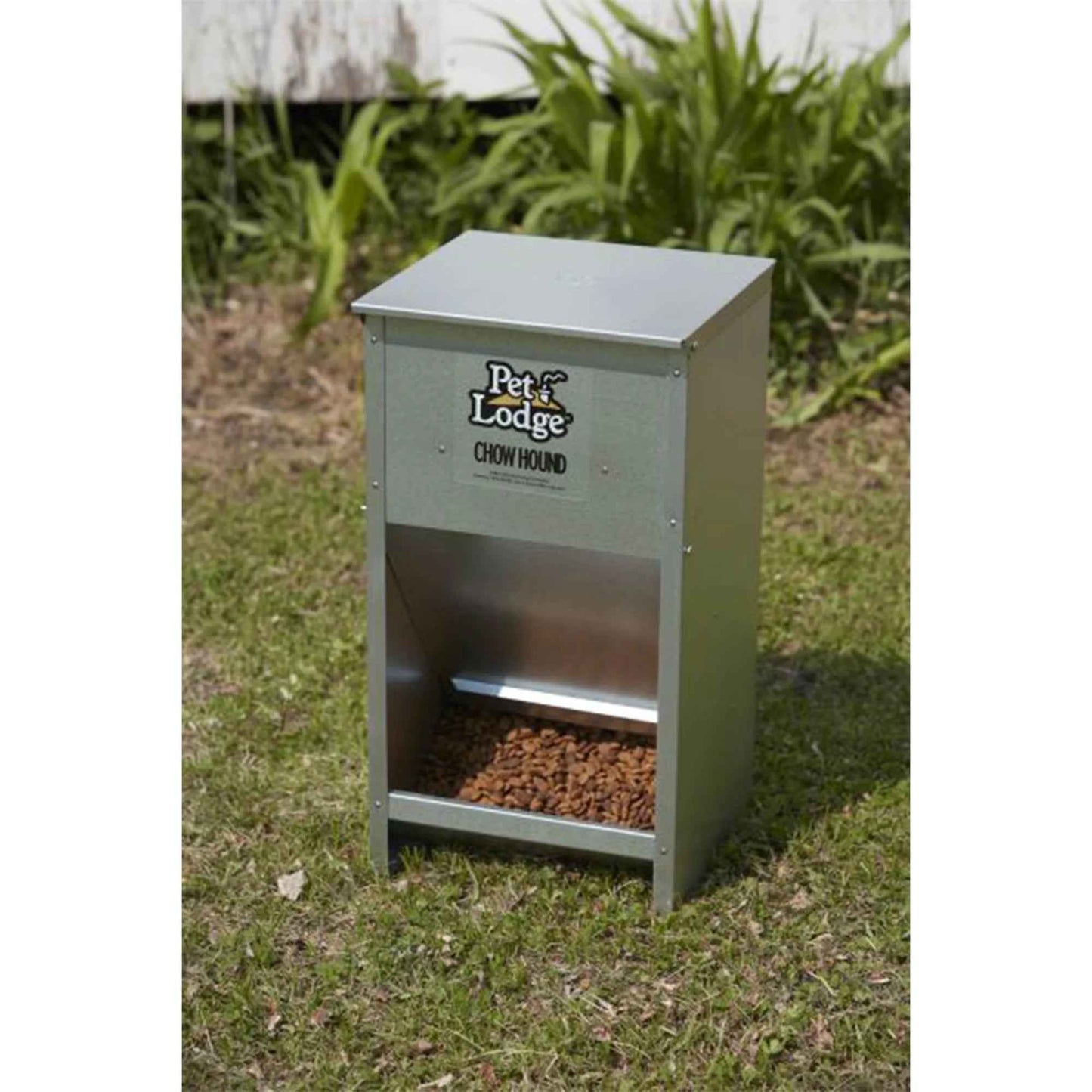 Automatic Steel Dog Food Feeder