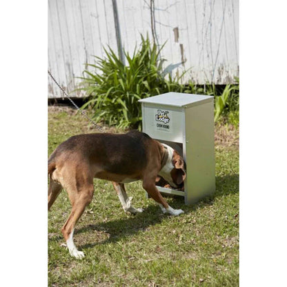 Automatic Steel Dog Food Feeder