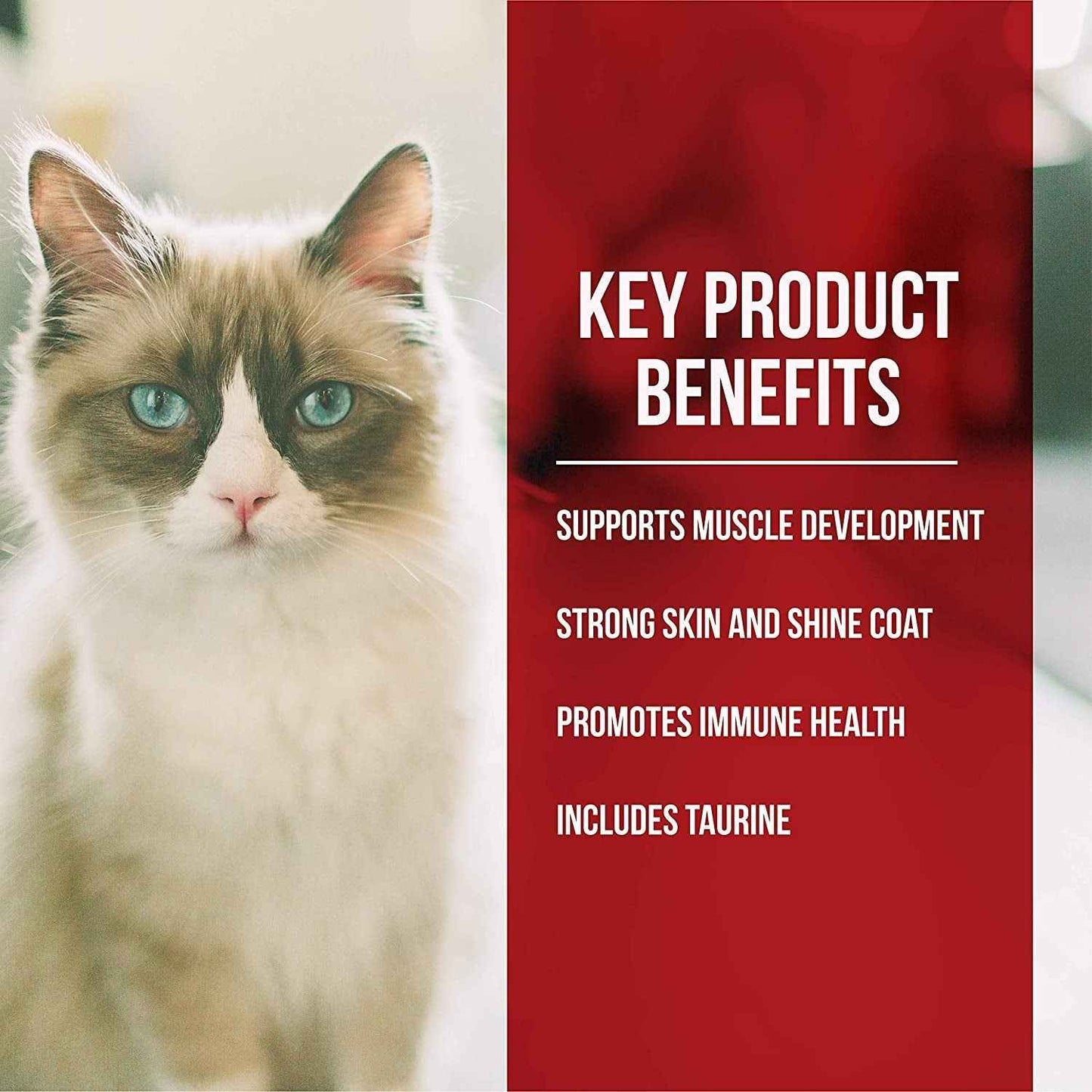 Fussie Cat Grain-Free Chicken & Turkey Dry Food 10Lb