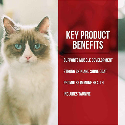 Fussie Cat Grain-Free Chicken & Turkey Dry Food 10Lb