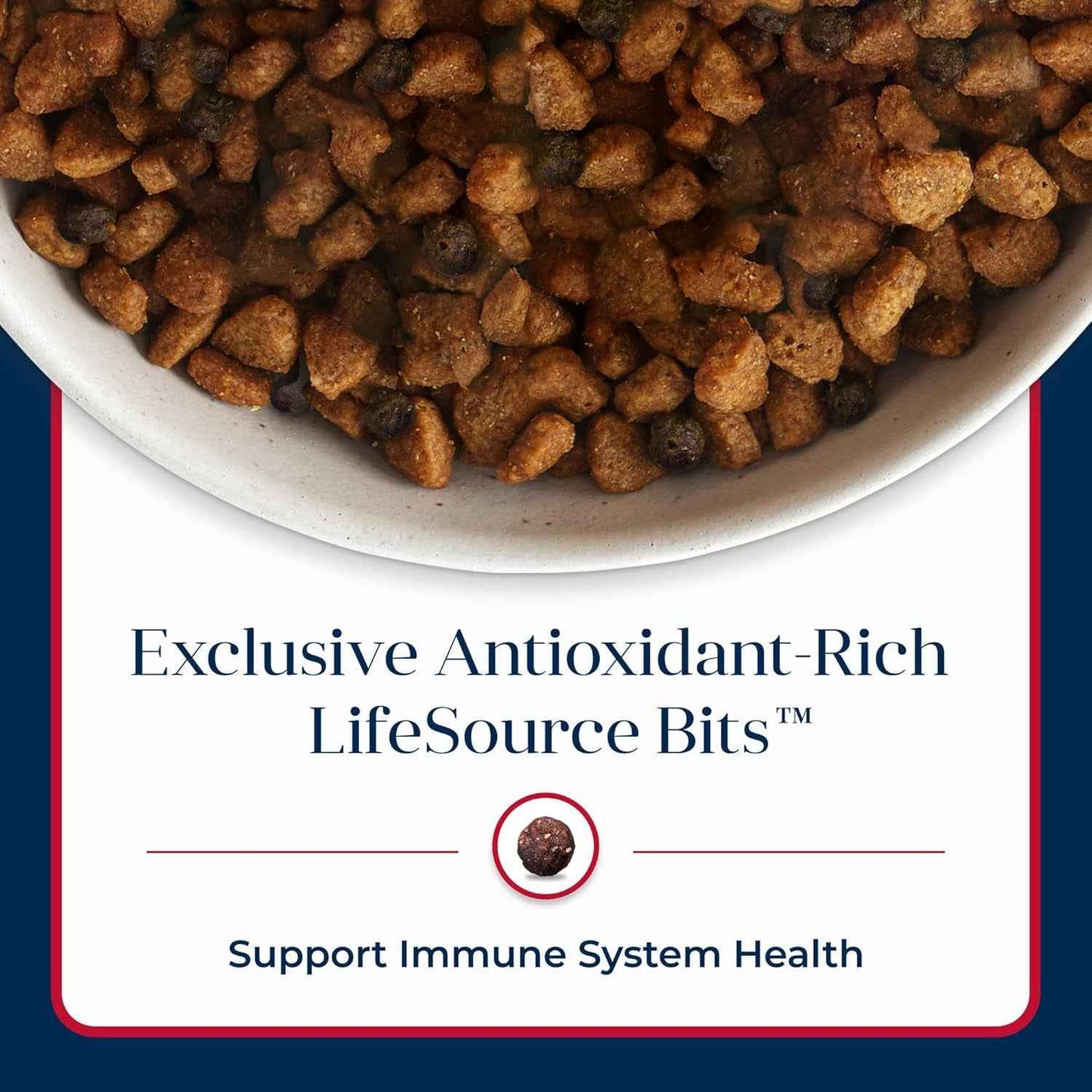 Blue Buffalo Grain-Free Salmon Dog Food for Adults - 22lb