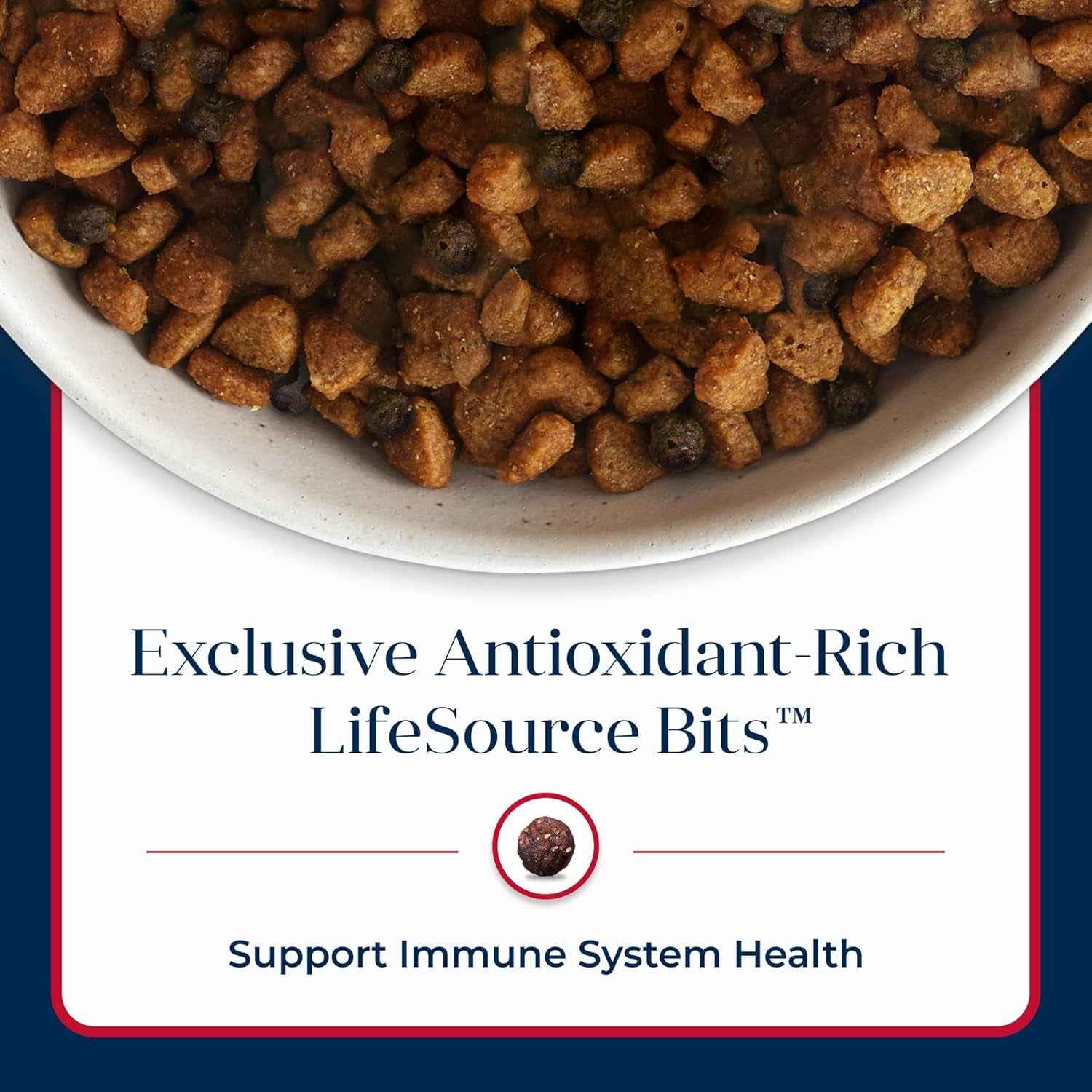 Blue Buffalo Grain-Free Salmon Dog Food for Adults - 22lb