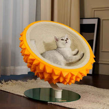 Durian Cat Scratching Bed - 3-in-1 Cozy and Durable House
