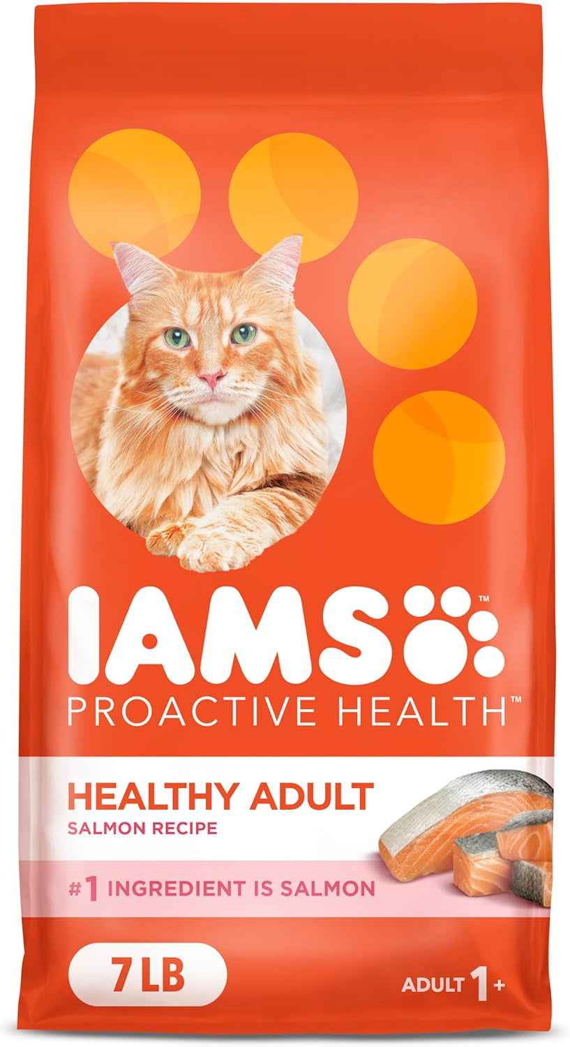IAMS Salmon Dry Cat Food: Proactive Health for Adult Cats