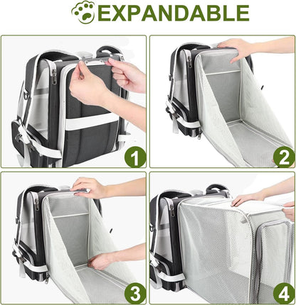 Texsens Expandable Cat Backpack Carrier - Airline Approved - HuckMB Pet Supply