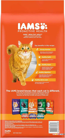 IAMS Salmon Dry Cat Food: Proactive Health for Adult Cats