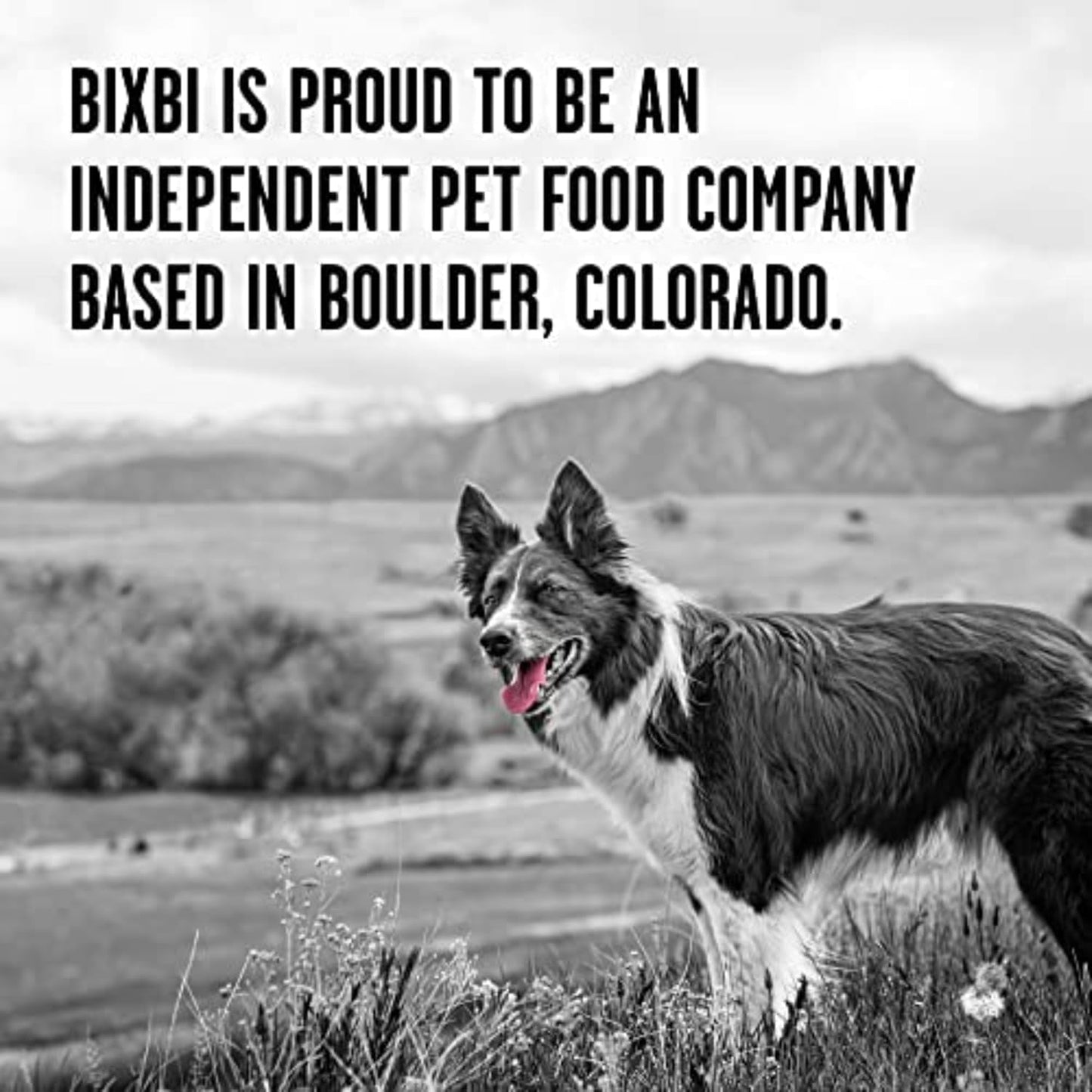 BIXBI Rawbble Pork Recipe: Freeze Dried Dog Food, 97% Meat - HuckMB Pet Supply