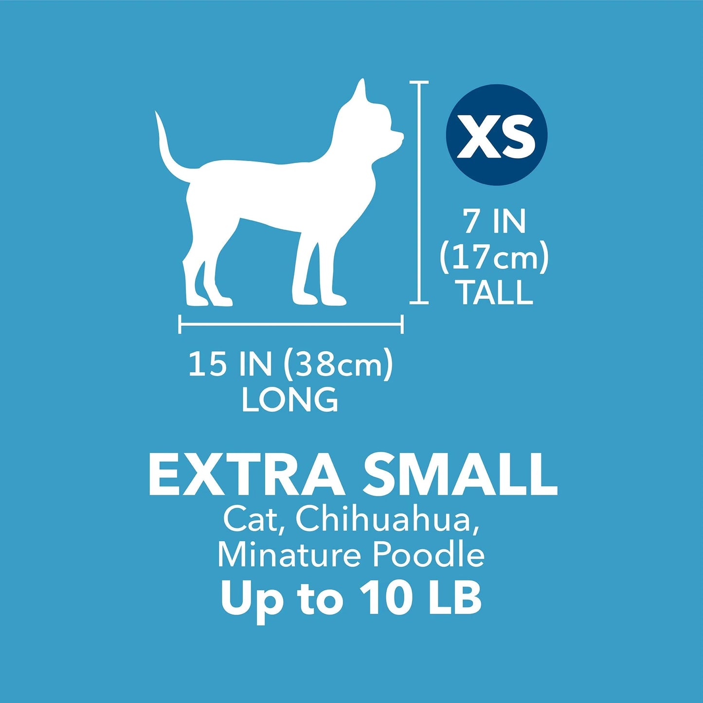 Vibrant Life Pet Kennel - Durable Carrier for Small Dogs - HuckMB Pet Supply