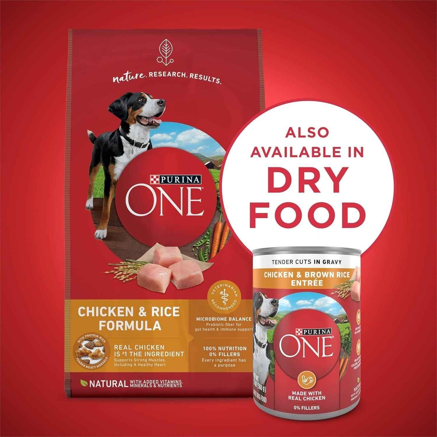 Purina ONE High Protein Chicken and Rice Dog Food in Gravy