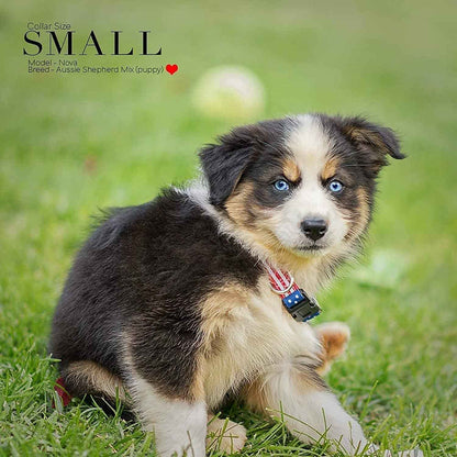 Classic American Flag Dog Collar - Adjustable & Durable