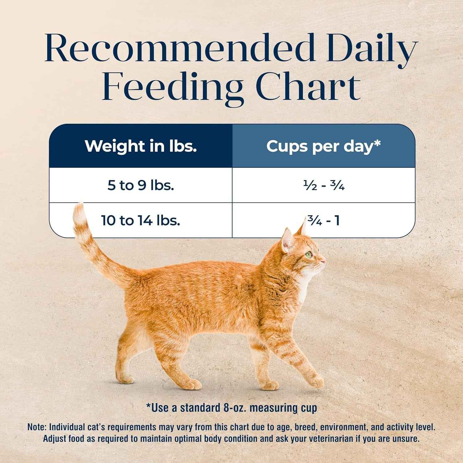 Blue Buffalo Grain-Free Dry Cat Food: Digestive Health