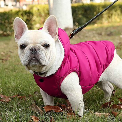 Fleece Hoodie, Windproof Waterproof Coat, Winter Warm Jacket, Cold Weather Pet Apparel Clothes Vest for Small Medium Large Dogs (M, Pink)