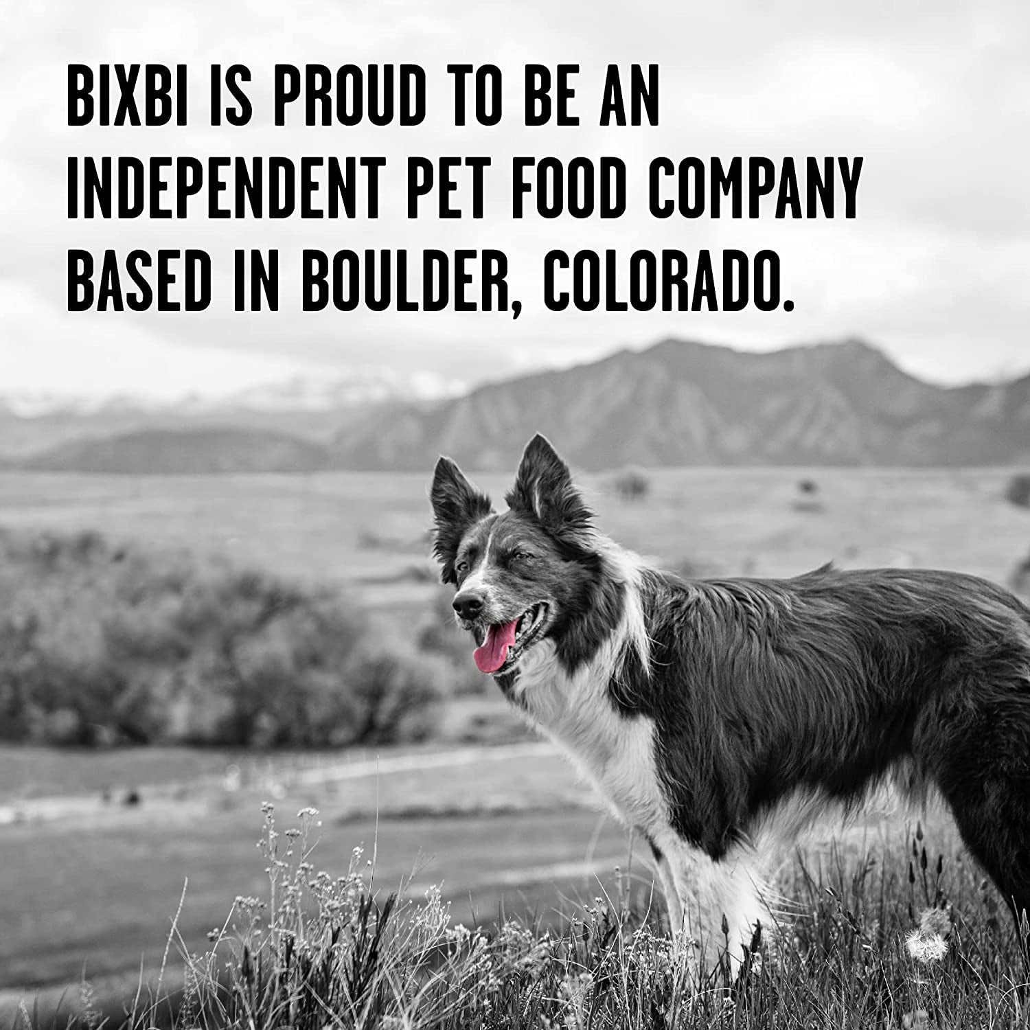 BIXBI Rawbble: 98% Beef Freeze Dried Dog Food, No Fillers - HuckMB Pet Supply
