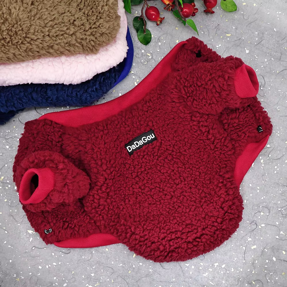 Chihuahua Winter Dog Coat: Cozy Small Dog Jacket for Cold. - HuckMB Pet Supply