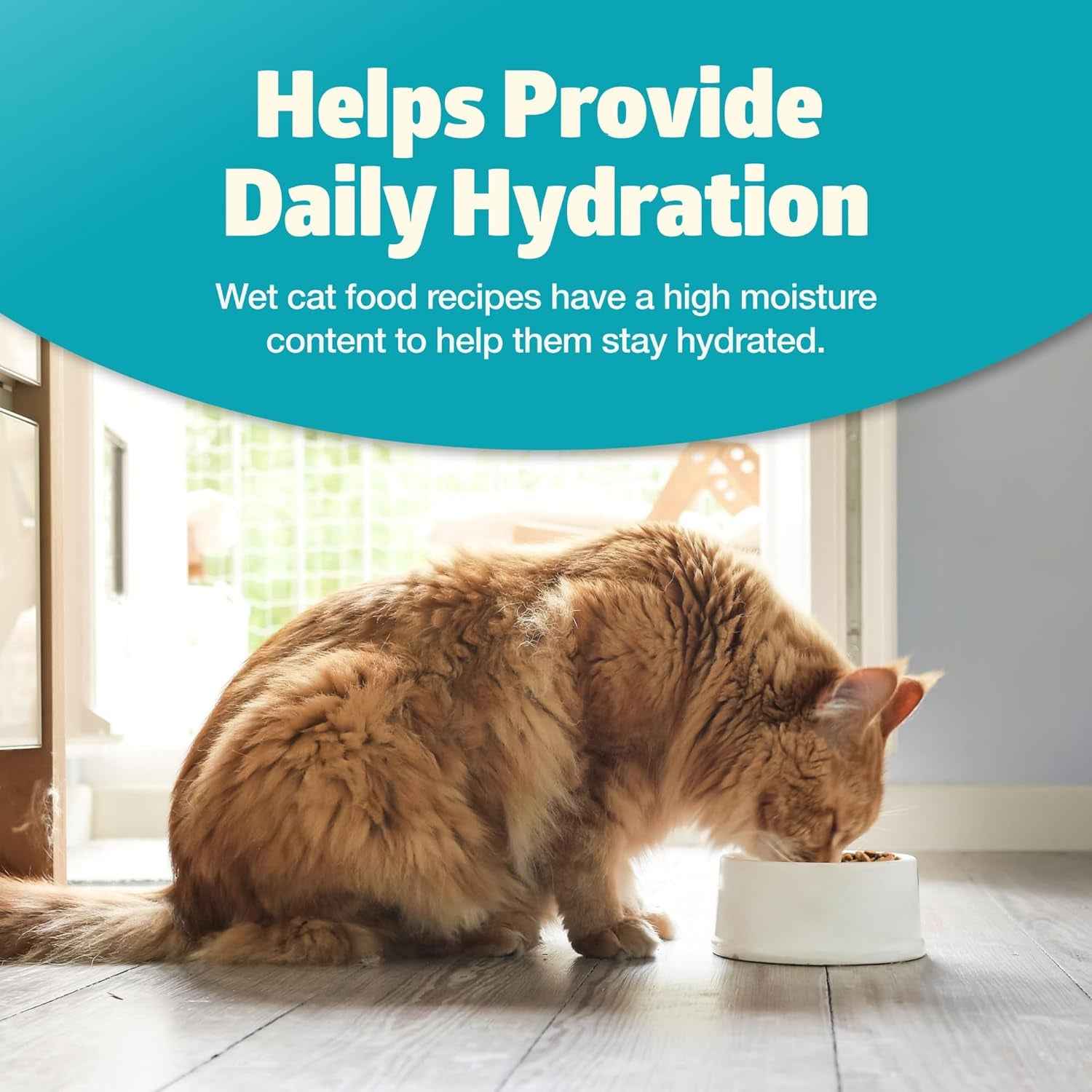 Blue Buffalo Grain-Free Fish Wet Cat Food -Natural Nutrition