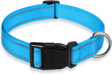 Reflective Adjustable Dog Collar Large - Safe Nylon All Dogs