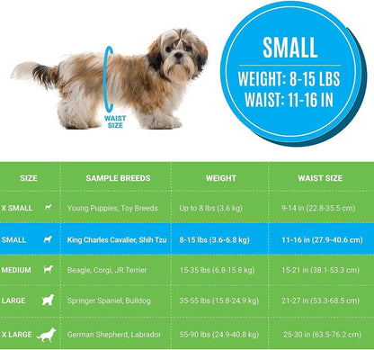 Leak-Proof Small Male Dog Diapers with Absorbent Comfort