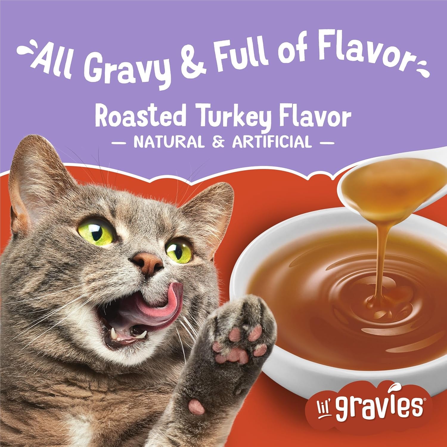 Friskies Turkey Flavor Cat Food Toppers Lil' Gravies Treats - HuckMB Pet Supply