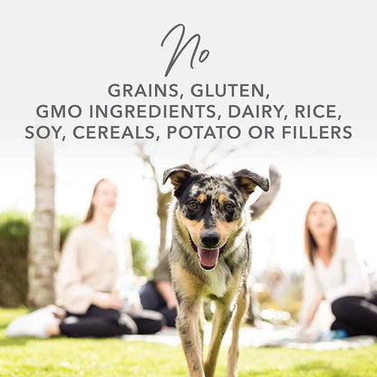 K9 Natural Grain Free Freeze Dried Dog Topper - Chicken