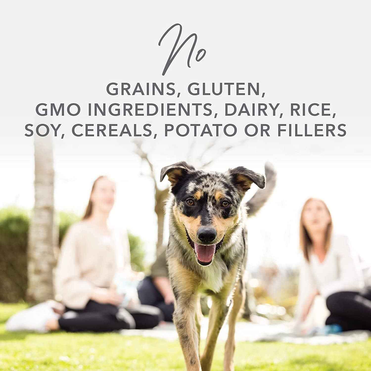 Grain-Free Freeze Dried Dog Food Topper: Lamb & Salmon