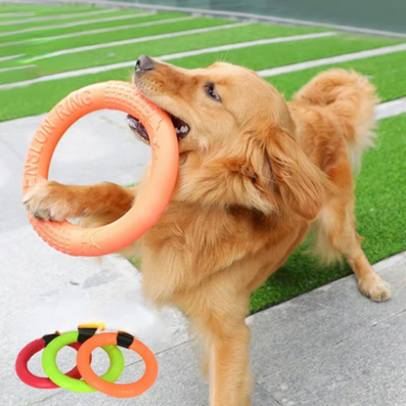 Durable Dog Training Flying Disk Toy - EVA Ring for Pets - HuckMB Pet Supply