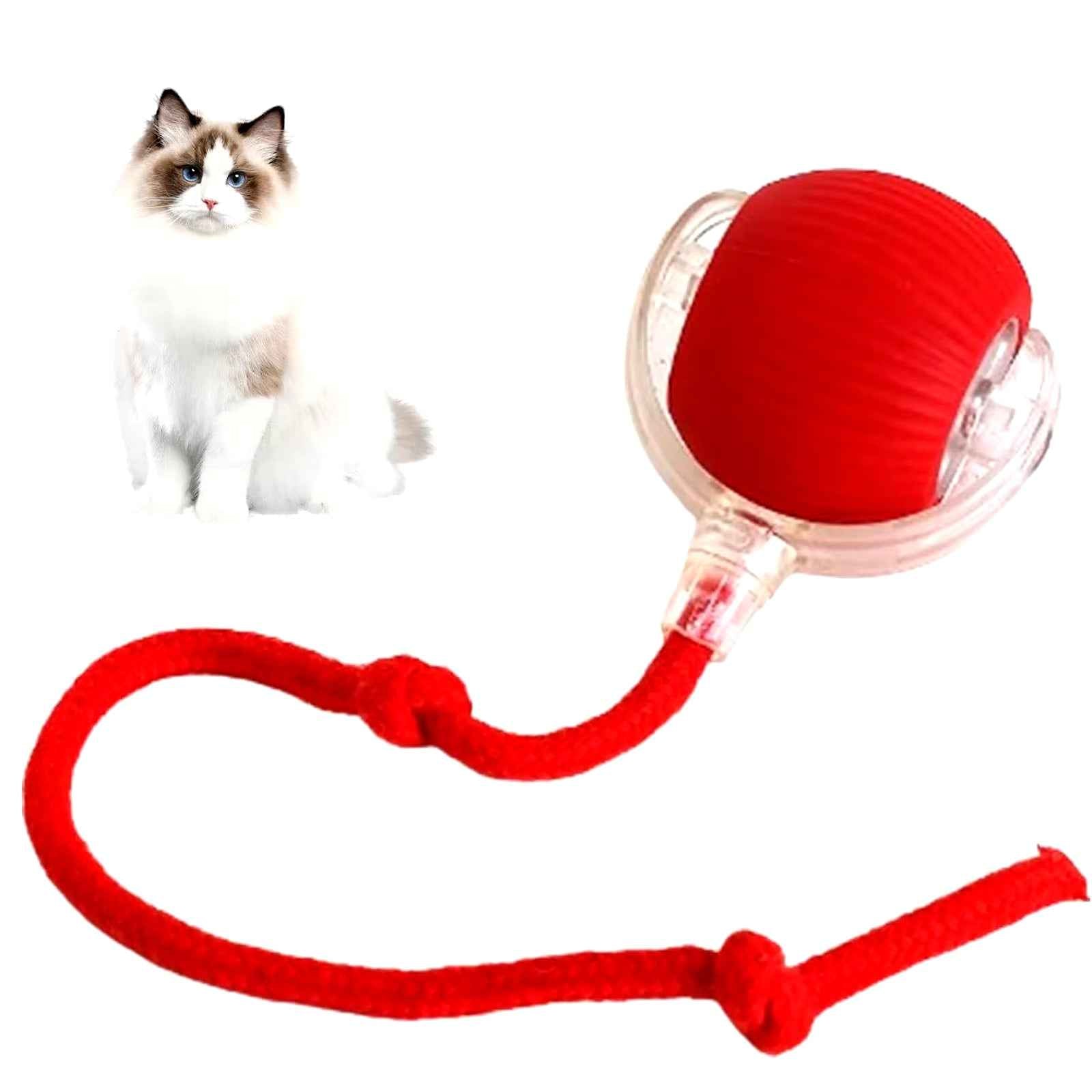 Interactive Pet Rolling Ball Toy