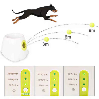Automatic Ball Launcher for Dogs